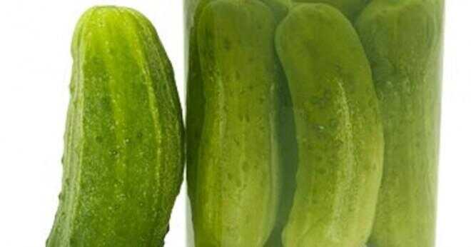 Hur många typer av pickles finns det?
