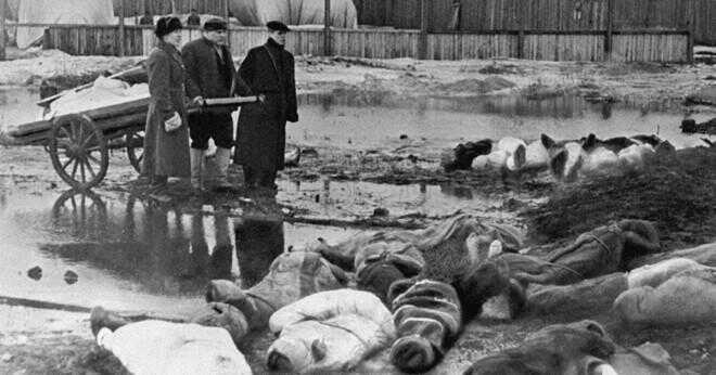Hur många ryska soldater dödades av finska soldater under andra världskriget 2?