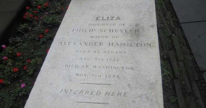 Vem dödade Alexander Hamilton i en duell 1804?