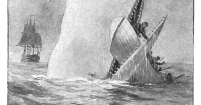 När Kapten Ahab höll upp ett guldmynt till besättningen vad hände sedan i berättelsen?
