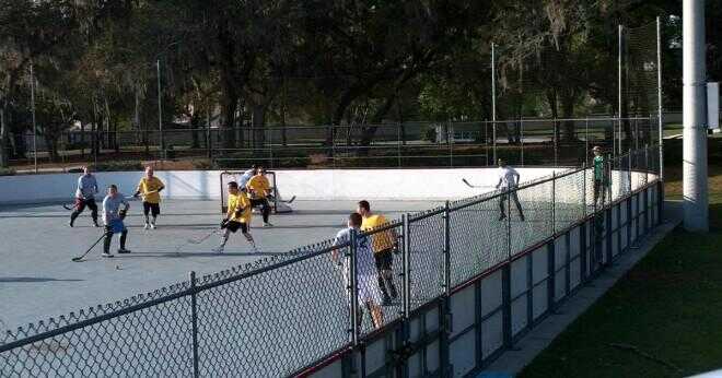 Kan du vända Ishockeyskridskor till roller hockeyskridskor?
