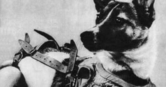 Vilket land var först att skicka en hund i rymden?