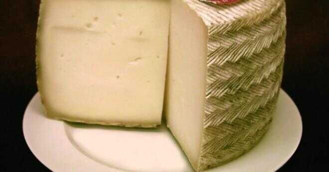 Manchego ost tillverkas av mjölk från?