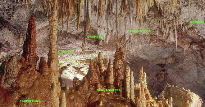Vilka är de vanligaste bergarter i Carlsbad Caverns i New Mexico?