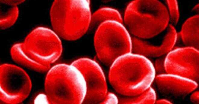 Vad är en normal vita blodkroppar?