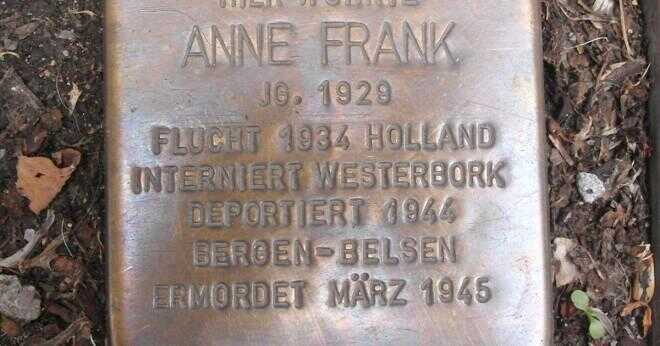 Hur fick Anne Frank tyfus?