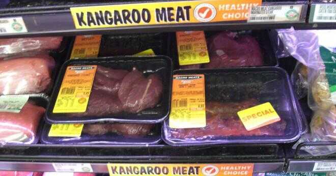 Är en organism som äter kött producent?