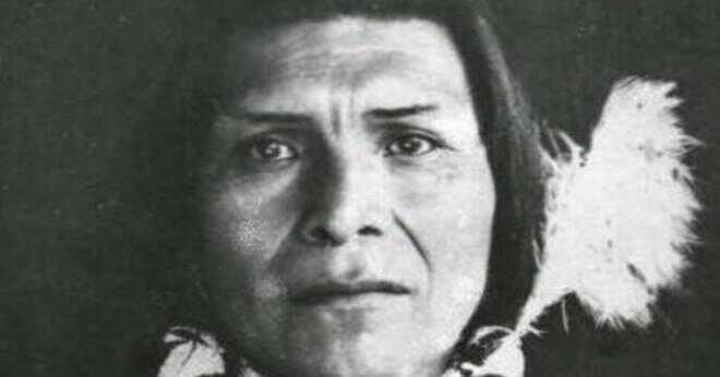 Vem var Nez Perce ledare?